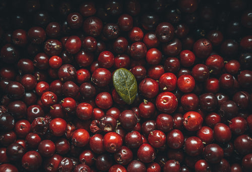 Fresh cranberries representing natural UTI prevention ingredients