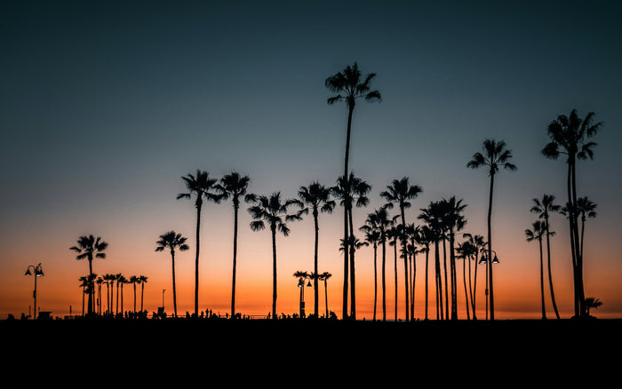 California valley with mountains and warm golden light
