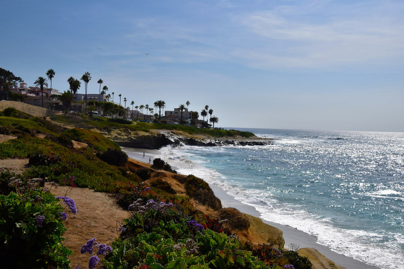 La Jolla Cove ocean view from clifftop in San Diego