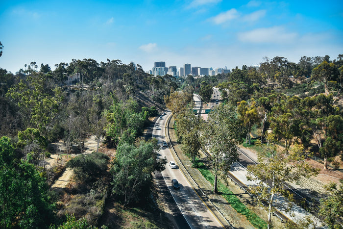 Balboa Park tree-lined road with Spanish architecture in San Diego
